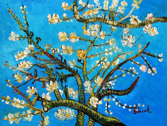 Kirschblüten Van Gogh